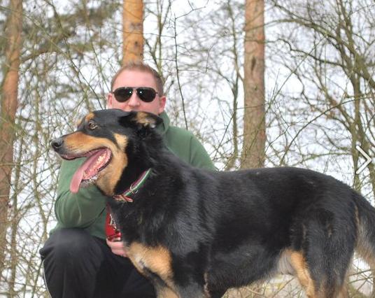 Frodo lebt glücklich bei Stephan in Berlin, nachdem er jaherlang im Tierheim warten musste. 
