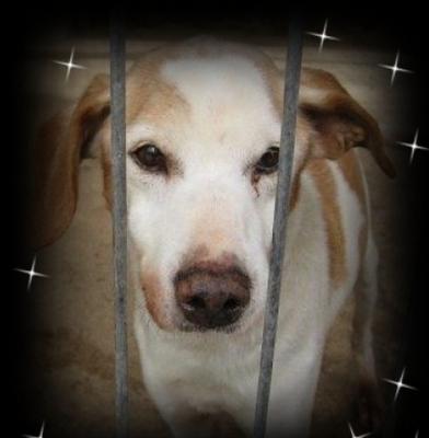 Der arme Ismael starb leider viel zu früh. 