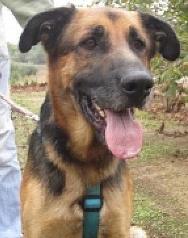 Larry hat die Regenbrücke überquert. 