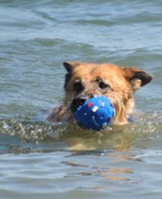 Lee liebt seine neue Freiheit und geniesst das Leben. 