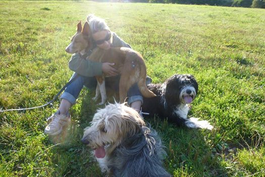 Verena aus Hamburg mit Lucci, Lina & Charlin. 