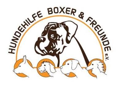 Die Hundehilfe für Boxer.