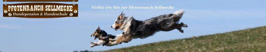 Ihre Hundepension & Hundeschule in NRW. Die Pfotenranch-Sellmecke