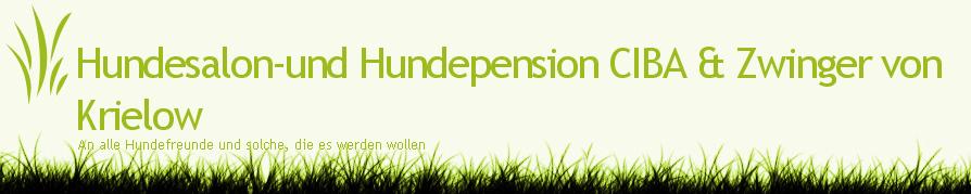 Hundesalon & Pension von Krielow