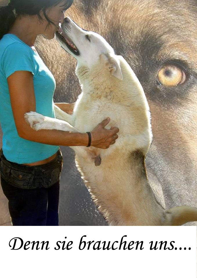 Patricia Fandos hat in den letzten 10 Jahren hunderte von Hunden & Katzen vor dem sicheren Tod gerettet. 