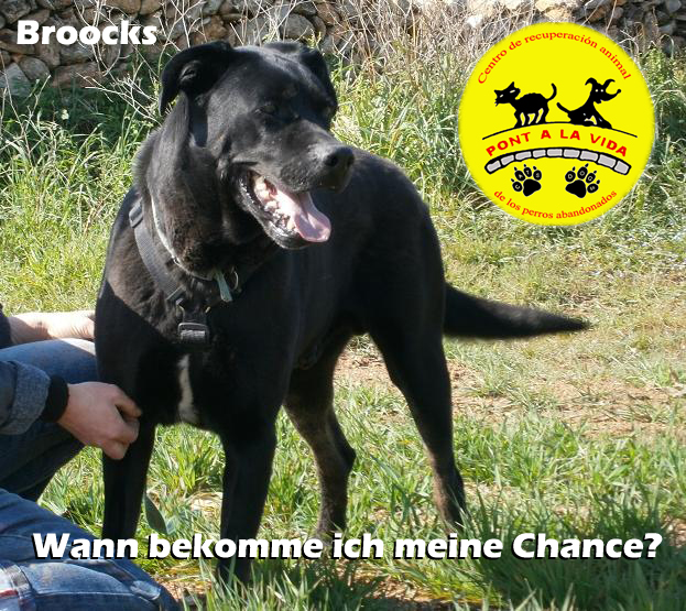 Broocks wartet leider noch immer auf seine Menschen. 