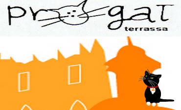 Hilfe für Strassenkatzen in Terrassa (Barcelona)