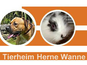 Das herzliche kleine Tierheim in Herne-Wanne. 